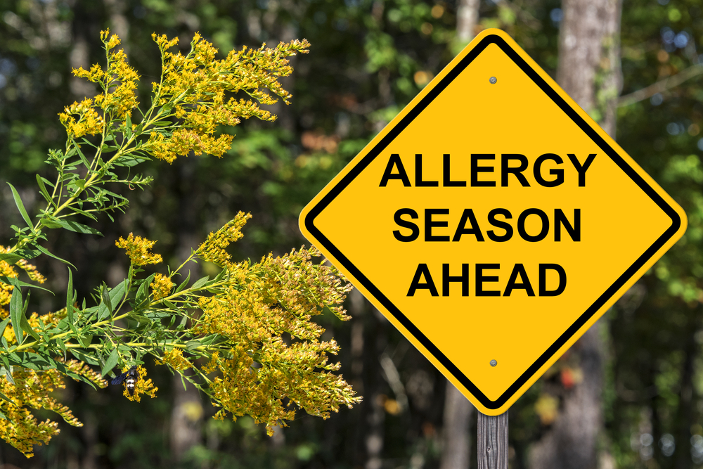 warning sign stating allergy season ahead