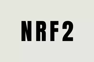 NRF2 text