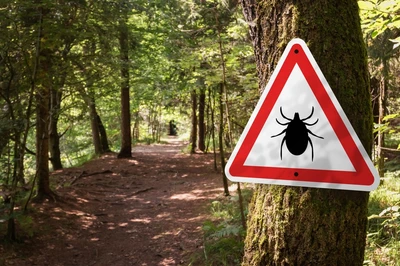 tick warning sign in forest