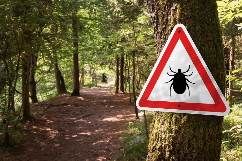 tick warning sign in forest