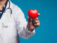 doctor holding model heart